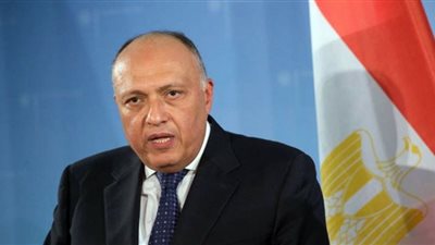 وزير الخارجية ينعي المشير طنطاوي