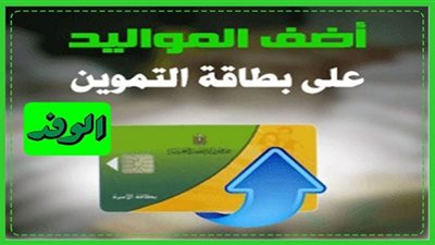 عبر بوابة مصر الرقمية |خطوات إضافة المواليد لمنظومة التموين