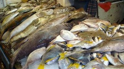 مباحث التموين تضبط اسماك غير صالحة للاستخدام الادمي فى أسيوط