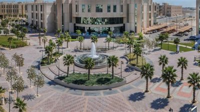 8 شروط للتقديم على وظائف جامعة الإمام عبدالرحمن بن فيصل (تعرف عليهم من هنا)