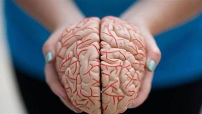 دراسة توضح تأثير فيروس كورونا على الدماغ