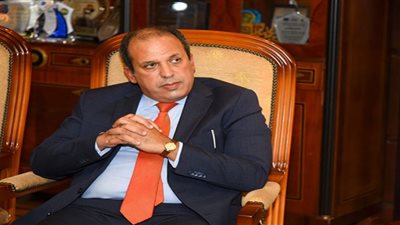 عالم مصري: نثمن جهود وزارة الهجرة في ربط الخبراء المصريين بالخارج بوطنهم