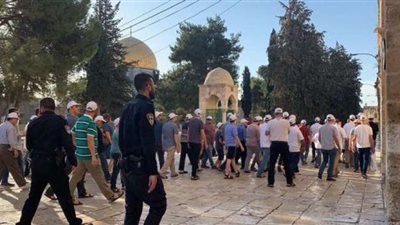 مئات المستوطنين يقتحمون الأقصى بحراسة مشددة من شرطة الاحتلال