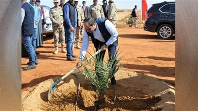 الزراعة: مشروعات استصلاح الأراضي الجديدة بمصر لم تحدث منذ 60 عامًا (فيديو)