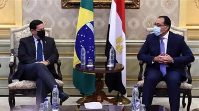 سياسي: زيارة نائب الرئيس البرازيلي لمصر تأتي لتعزيز المنفعة المشتركة