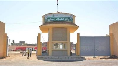 محلج الفيوم المطور يستقبل الأقطان للعام الثالث على التوالي