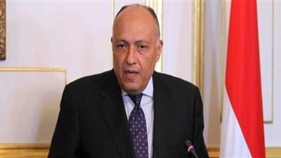 شكري يؤكد أهمية تحقيق عالمية معاهدة عدم انتشار الأسلحة النووية وضرورة امتثال الدول النووية لالتزاماتها