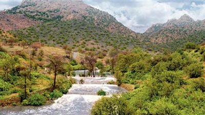 أمانة الطائف توفر وظائف هندسية وإدارية شاغرة للجنسين