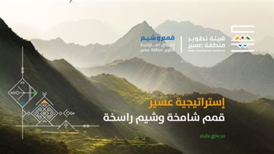 استراتيجية عسير .. 13 هدفًا لتحقيق رؤية السعودية 2030