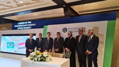 إبراهيم العربي: واردات الدول العربية من المنتجات الغذائية 100 مليار دولار سنويًا