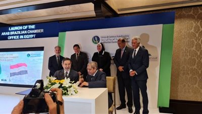 الغرفة البرازيلية: نتعاون على المستويين التجاري والاستثماري مع مصر