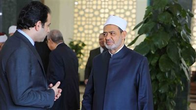لهذا السبب سافر الطيب لألمانيا.. المستشار السابق للإمام الأكبر يكشف التفاصيل