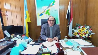 النمل الأبيض يغزو المحافظة.. وزراعة الأسكندرية تكشف الأسباب