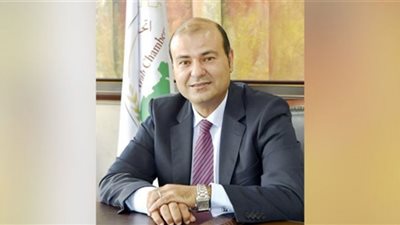 خالد حنفي: مناقاشات مع البرازيل لإنشاء خط ربط تجاري لوجيستي مع مصر