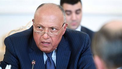 سامح شكري يطالب بخروج القوات الأجنبية والمرتزقة من ليبيا (فيديو)