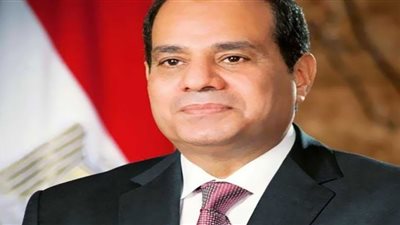 السيسي يوجه بتركيز على نشاط المجمعات الصناعية لتحقيق الاكتفاء الذاتي للسوق المحلي (فيديو)