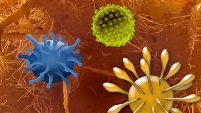 آلية ذكاء اصطناعي قد تتنبأ بفيروسات قاتلة قادمة ربما ستنتقل من الحيوانات إلى البشر