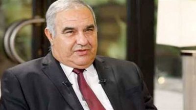 (فيديو) رئيس المحكمة الدستورية: السيسي أعلى مبدأ سيادة القانون في الدولة بالكامل