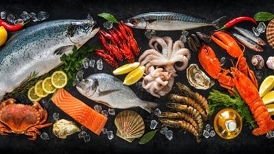 منها المأكولات البحرية.. أفضل مصادر الكالسيوم
