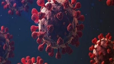 المصل واللقاح: أعراض كورونا في الموجة الرابعة أقل من البرد (فيديو)