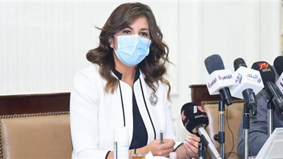 الهجرة تكشف علاقة زيادة تحويلات المصريين في الخارج بوزارة الإسكان