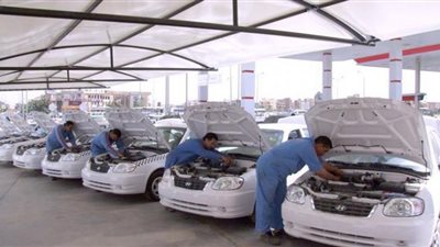 خبيرة طاقة واستدامة: مصر تحولت من دولة مستوردة للطاقة إلى مصدرة