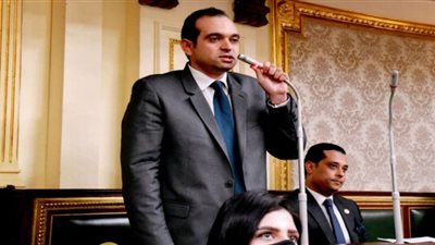 عضو لجنة إدارة الصيادلة أمينا لسر لجنة الصحة بالنواب