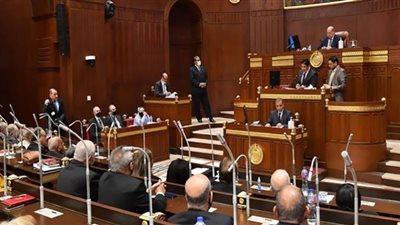 قبل انطلاق دور الانعقاد الثاني.. كيفية تشكيل اللجنة العامة لمجلس الشيوخ