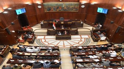 مع انطلاق دور الانعقاد الثاني.. تعرف على مهام مجلس الشيوخ