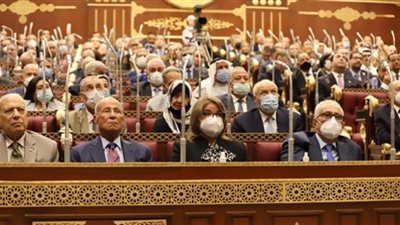 كيفية تشكيل 14 لجنة نوعية بمجلس الشيوخ