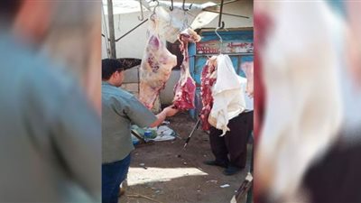 حملات تفتيشية لضبط سوق اللحوم والأسماك بالشرقية