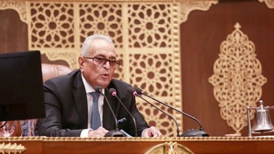 أبو شقة يترأس الجلسة العامة لمجلس الشيوخ ويدعو لانتخاب هيئات مكاتب اللجان النوعية