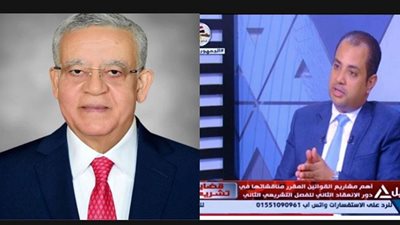 حازم العبيدي: المستشار جبالي أقر مبدأ الحكمة للحفاظ على مقدرات الوطن