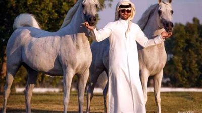 أحمد عبدالله: مصر مؤهلة لتنظيم سباقات القدرة والتحمل للخيل