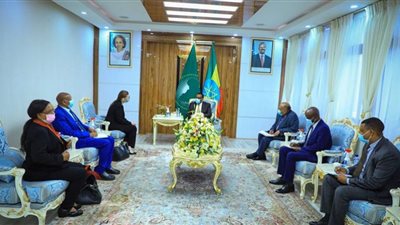 الخارجية الإثيوبية: إسرائيل ستساعدنا في صد الضغوط الخارجية غير المبررة
