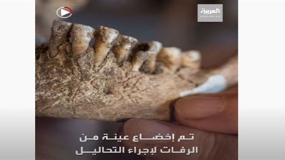 (فيديو) العثور على رفات شاب اختفى منذ 26 عامًا فى الجيزة