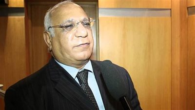 نادر نور الدين: ترشيح مصر لرئاسة مجلس وزراء المياه الأفارقة أمر منطقى