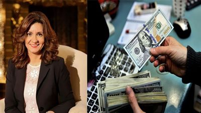 الهجرة: توجيه التحويلات النقدية للمصريين في الخارج نحو التنمية