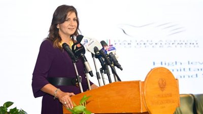 نبيلة مكرم تكشف أهم أسباب زيادة تحويلات المصريين بالخارج