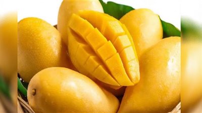 أسعار المانجو وأنواعها في الأسواق