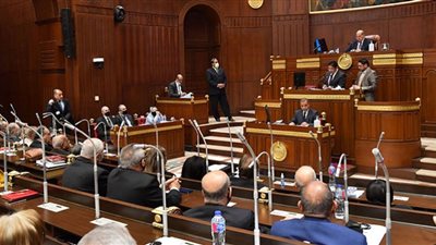 الحصانة البرلمانية لعضو مجلس الشيوخ.. ما لها وما عليها