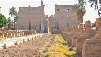 الشباب والرياضة بالأقصر تدفع بفرق كشافة وجوالة للمشاركة في افتتاح طريق الكباش