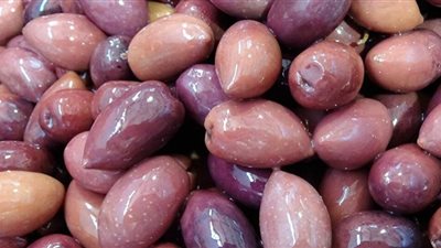 له مفعول السحر.. زيتون الذهب الأسود يقدم فوائد صحية لا مثيل لها
