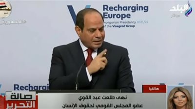 نهى طلعت: حقوق الإنسان أشمل من اختزالها في الحق السياسي (فيديو)