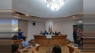 محمد آج واصفاً علاقة مصر والسنغال: توأمتان ودولتان صديقتان