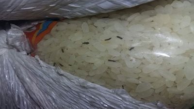 ضبط 7 أطنان أرز مجهول المصدر داخل مخزن في القاهرة