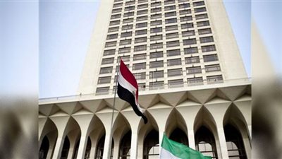 الخارجية تدين اغتيال عضو في البرلمان البريطاني