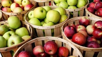 كيف يؤثر تناول ثلاث تفاحات في اليوم على الجسم؟