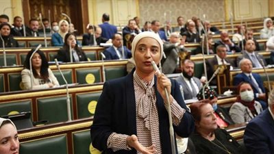 أميرة أبوشقة : قانون مشاركة القطاع الخاص يرمي إلى مواكبة النظم الاقتصادية العالمية