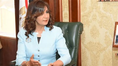 أبرز المعلومات عن الوثيقة التأمينية للمصريين بالخارج المقرر إصدارها يناير المقبل